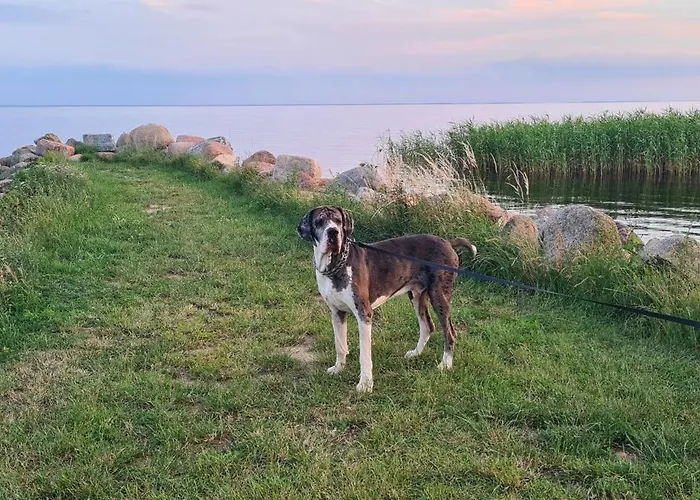 Siedlisko Natura
