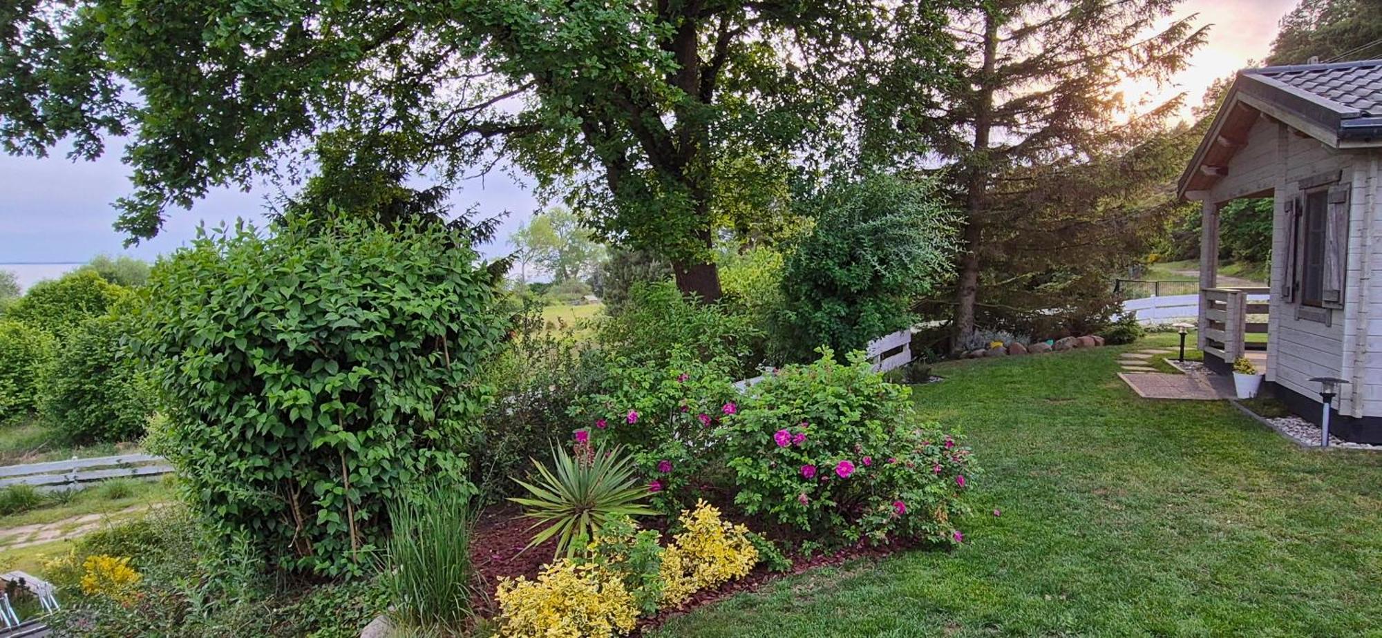 Siedlisko Natura Lodge *
